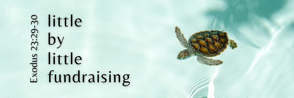 A small sea turtle swimming in clear, light blue water with the words “little by little fundraising” and a Bible reference along the left side. The image symbolizes gradual progress and steady effort.