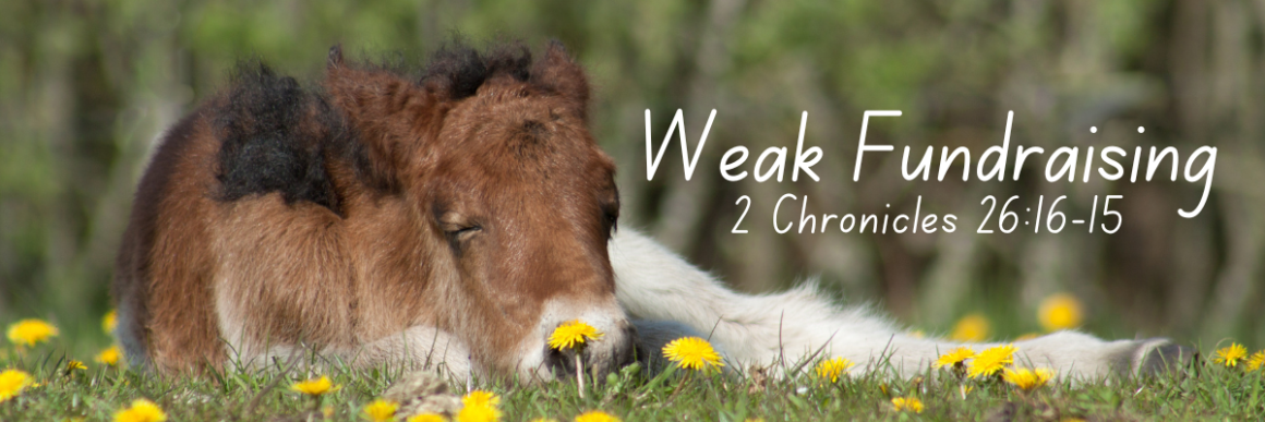 fundraising, humility, leadership, pride, generosity, ministry growth, donor relationships, mentorship, spiritual lessons, nonprofit leadership, success and failure, faith-based fundraising