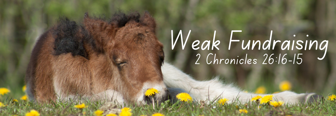 fundraising, humility, leadership, pride, generosity, ministry growth, donor relationships, mentorship, spiritual lessons, nonprofit leadership, success and failure, faith-based fundraising