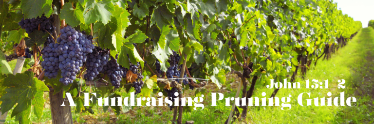 Wide banner image of a sunlit vineyard with rows of grapevines heavy with dark purple grapes, green leaves filling the foreground, and the text “A Fundraising Pruning Guide” and “John 15:1–2” overlaid on the image.