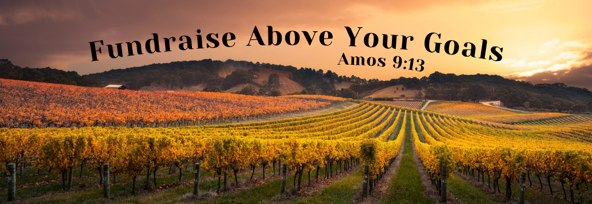 A sweeping vineyard stretching across rolling hills at sunset in warm golden and amber tones, with the text Fundraise Above Your Goals and the scripture reference Amos 9:13 in bold black lettering.