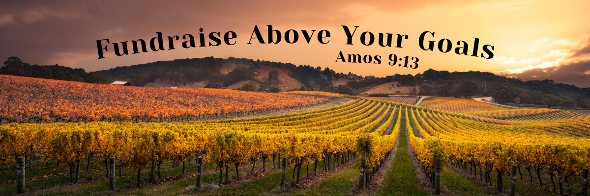A sweeping vineyard stretching across rolling hills at sunset in warm golden and amber tones, with the text Fundraise Above Your Goals and the scripture reference Amos 9:13 in bold black lettering.